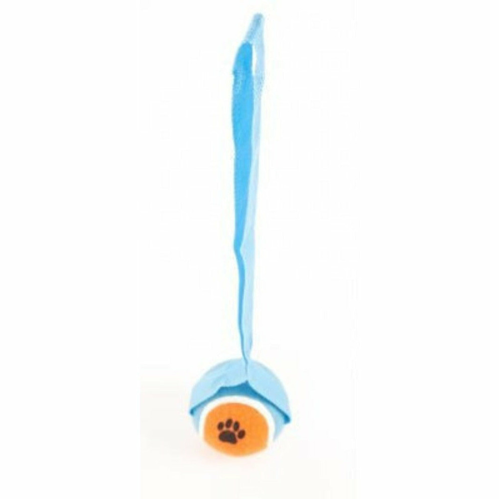 Lot de 4 balles de tennis avec sangle pour chiens - coloris suivants disponibilité