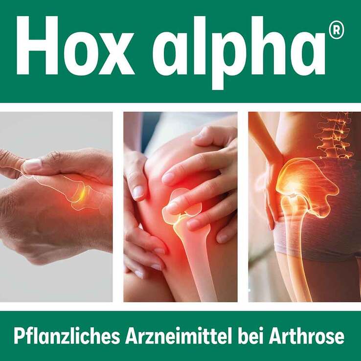Hox alpha Hartkapseln, 90 St