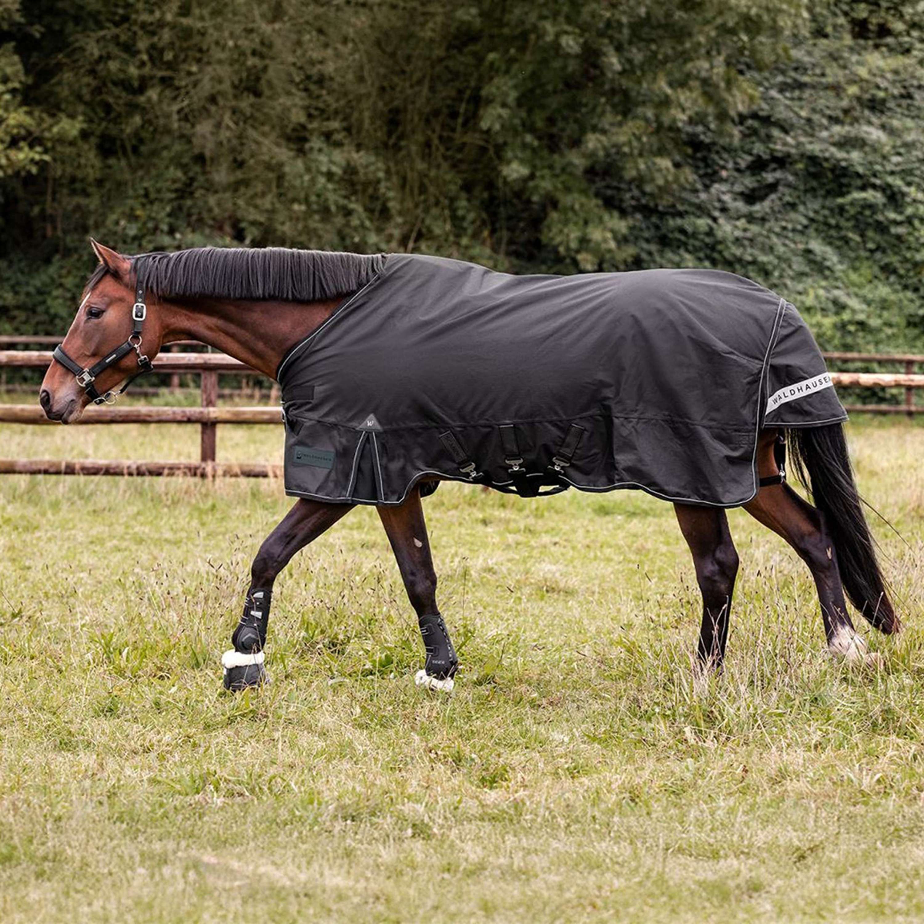 Waldhausen Outdoordeken Scandic Multi-Layer 50/150g Zwart