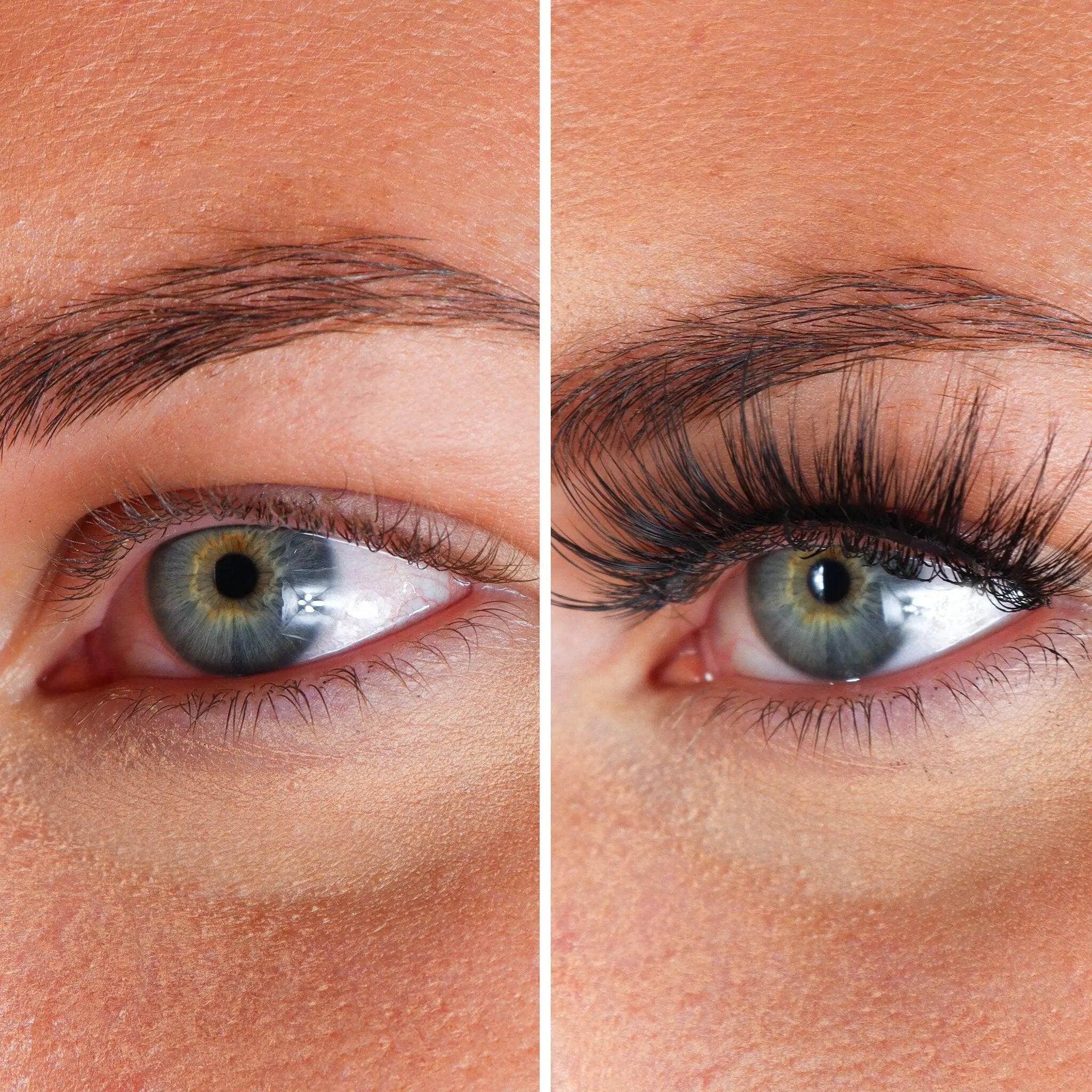 Lashes Laetitia