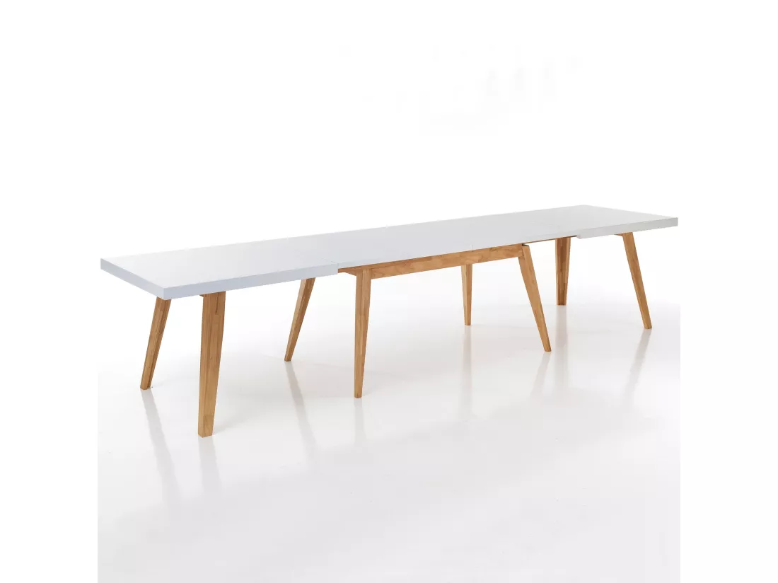 Table extensible REN