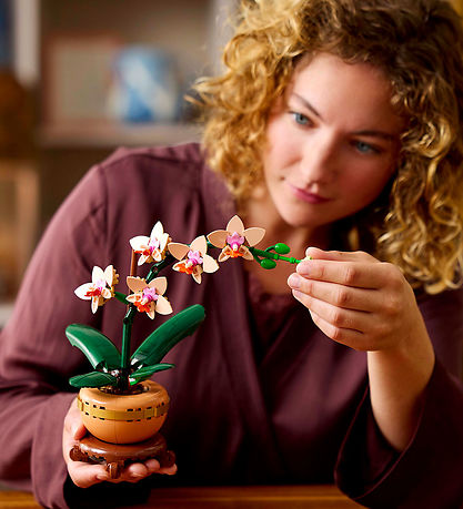 LEGO® Botanicals - Mini-Orchidee 10343 - 274 Teile