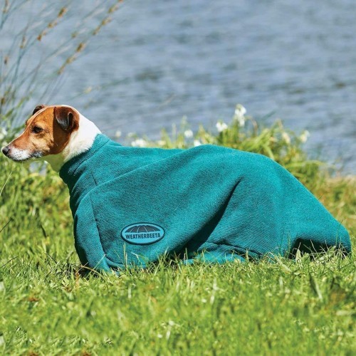 Toalha verde para cachorro