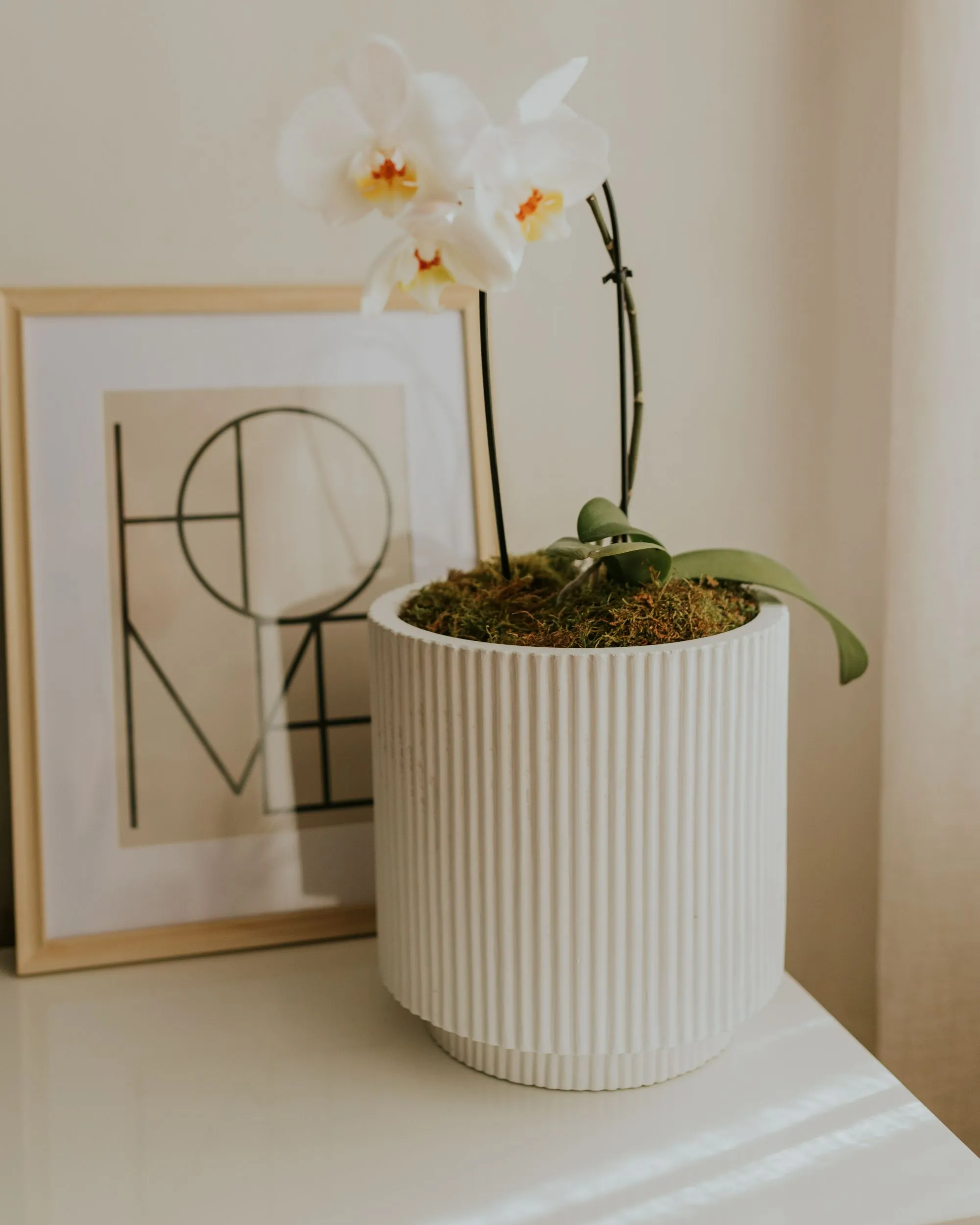 Bloempot DARIA 24 cm Gebroken wit