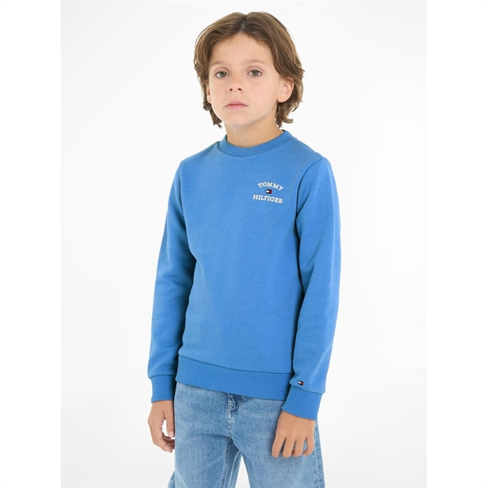 Køb Tommy Hilfiger TH Logo Sweatshirt Blue Spell