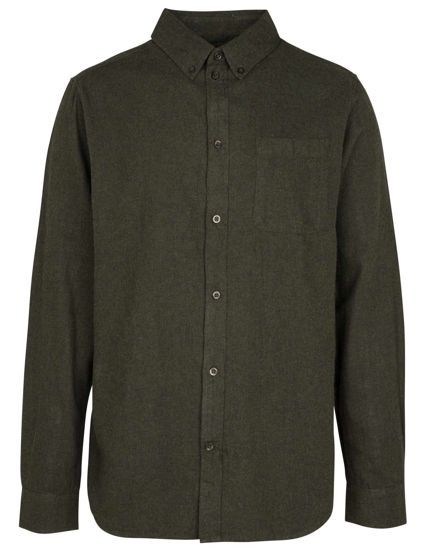 Chemise col américain regular-fit en coton bio | Vert