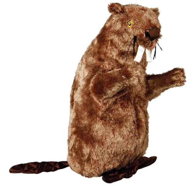 Bæver, plys, legetøj til katte, 40 cm