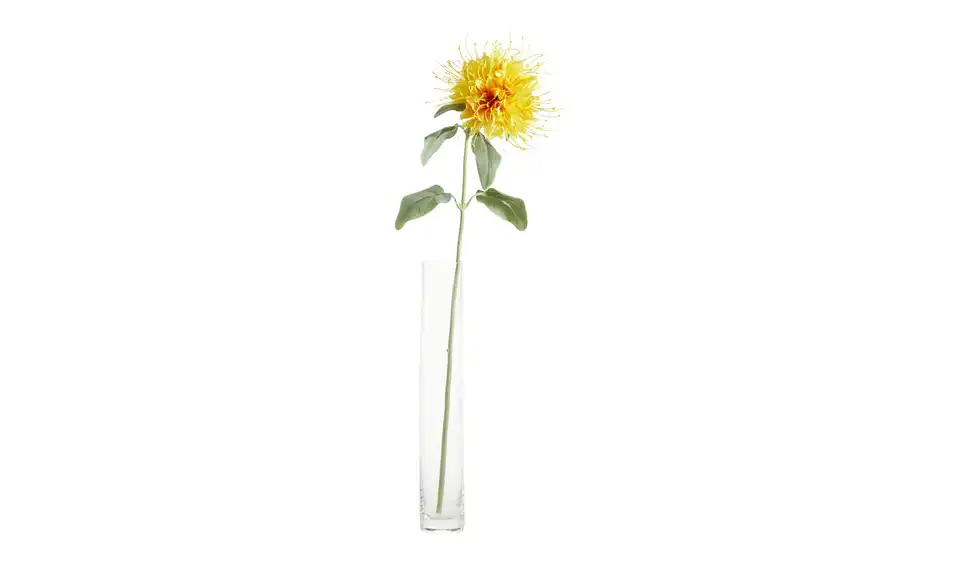 Kunstblume Monarda