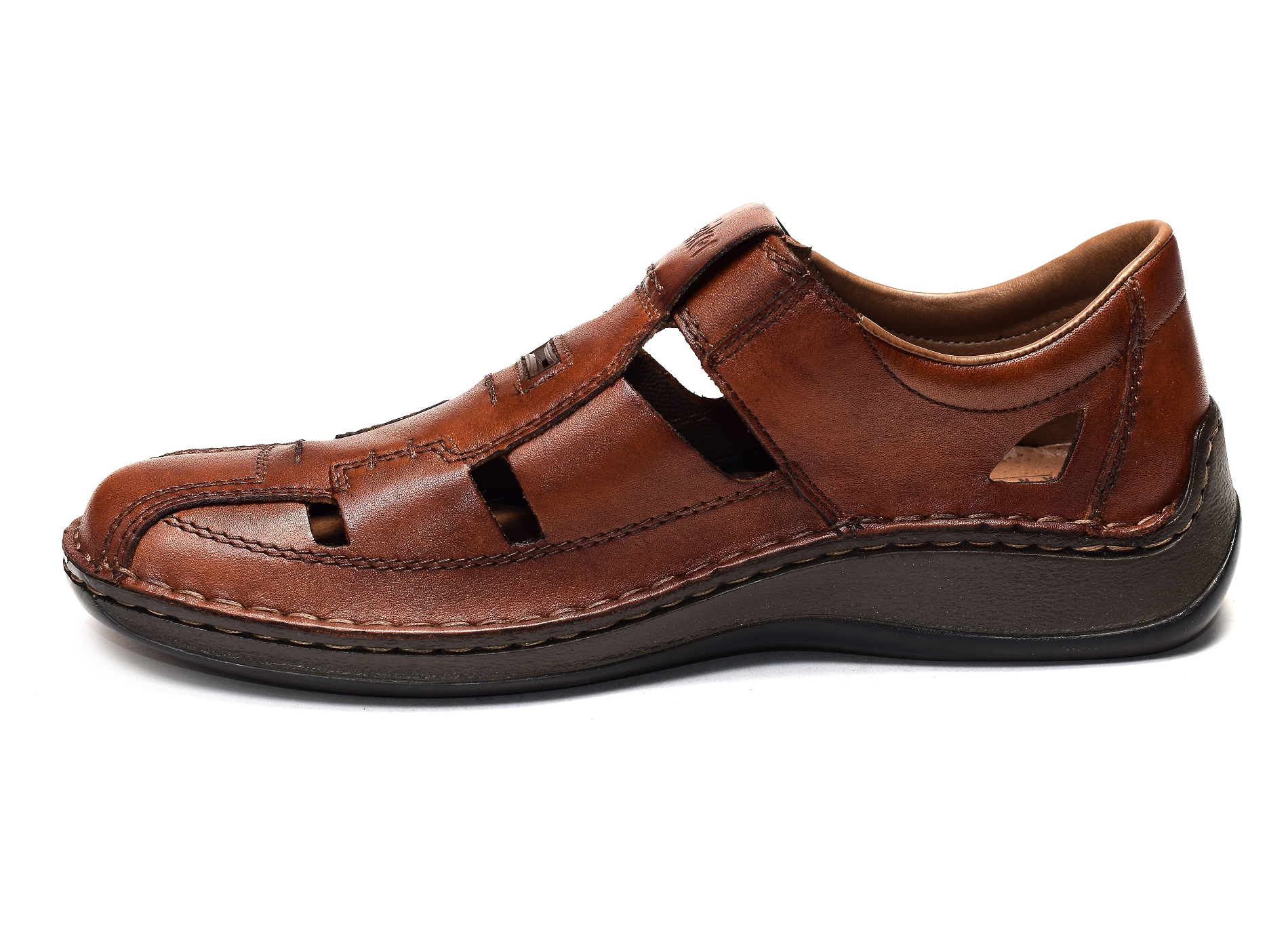 05284 camel