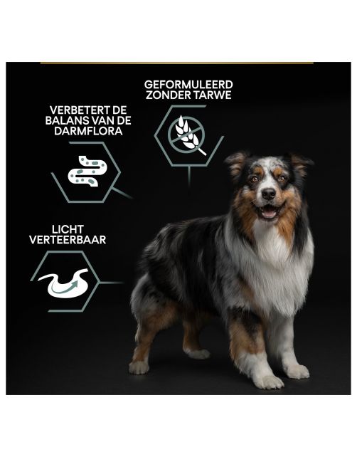 Pro Plan Dog Adult Medium & Large Sensitive Digestion Grain Free Kalkoen - Hondenvoer
