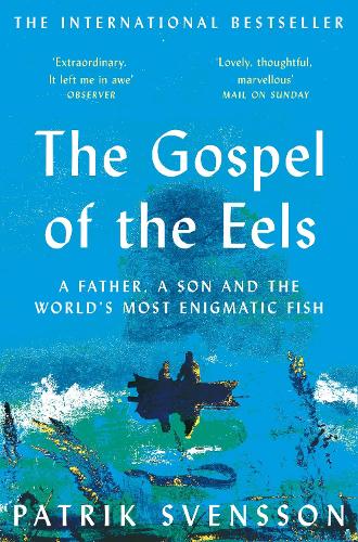 The Gospel of the Eels: A Father, a Son and the World's Most Enigmatic Fish (Paperback)