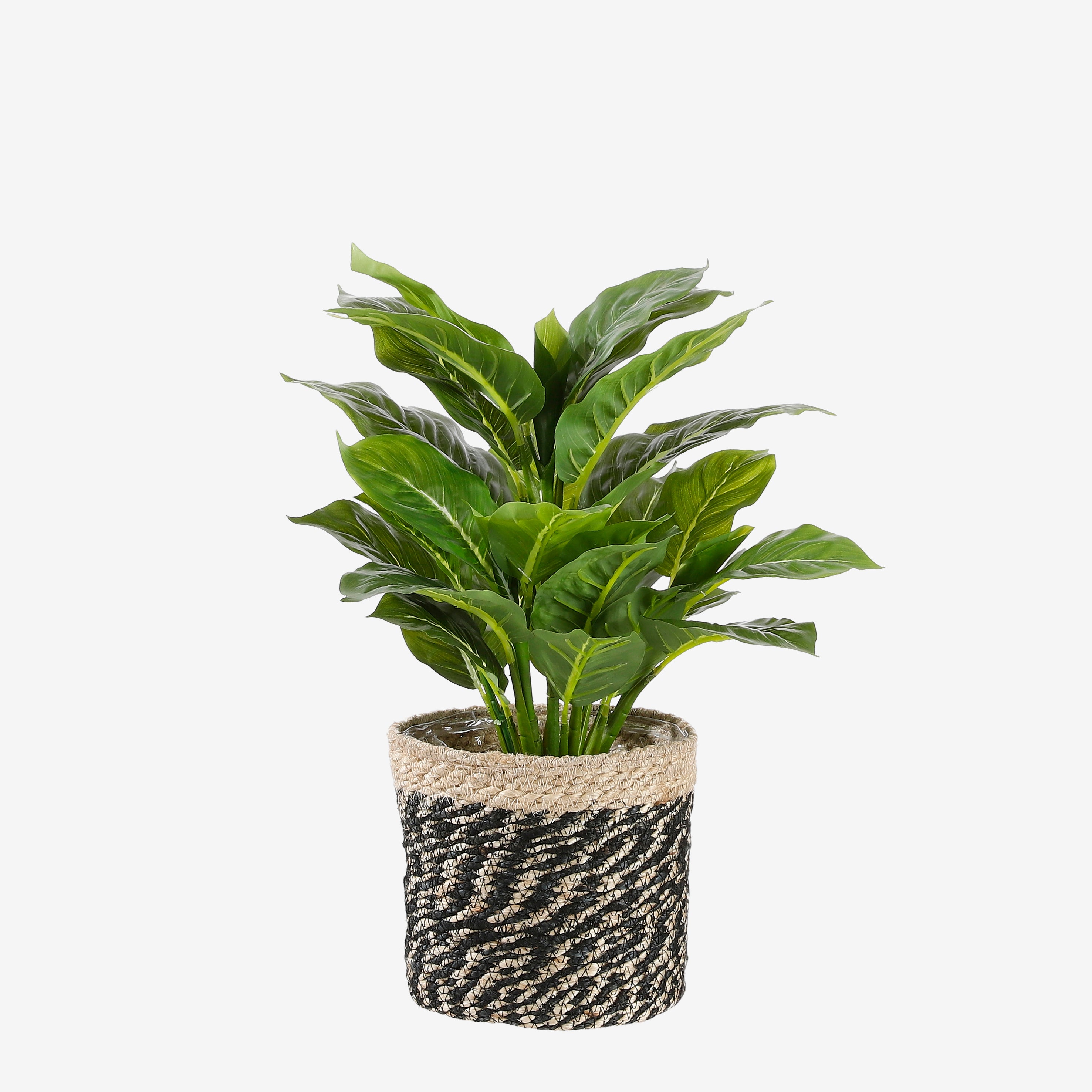 Mica Decorations Evergreen in pot Stan grijs d13,5cm - h49xd40cm