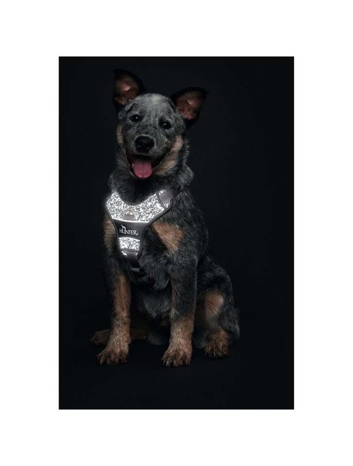 Hunter - Hundesele Divo Reflect S/M REFLEKS