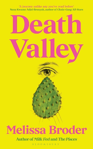 Death Valley (Hardback)
