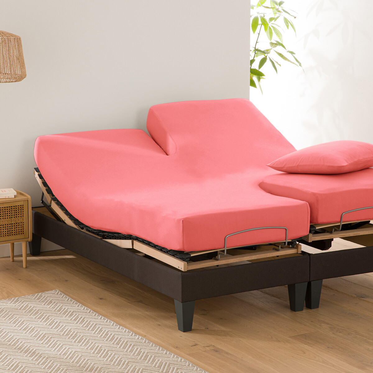 LA REDOUTE INTERIEURS<br>Lençol de algodão liso com elástico, base de cama ajustável, Scenario