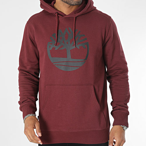 Sweat Capuche Core Logo A2BJH Bordeaux