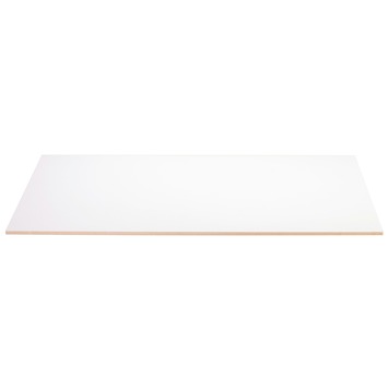 MDF plaat 122x61 cm dikte 12 mm met lakdraagfolie