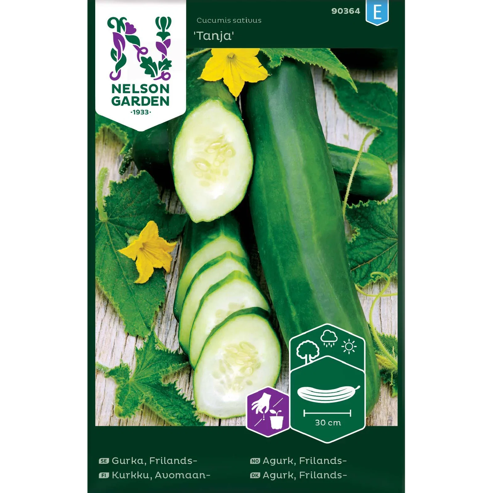 Cucumis sativus  'Tanja' Frilandsagurk 'Tanja'