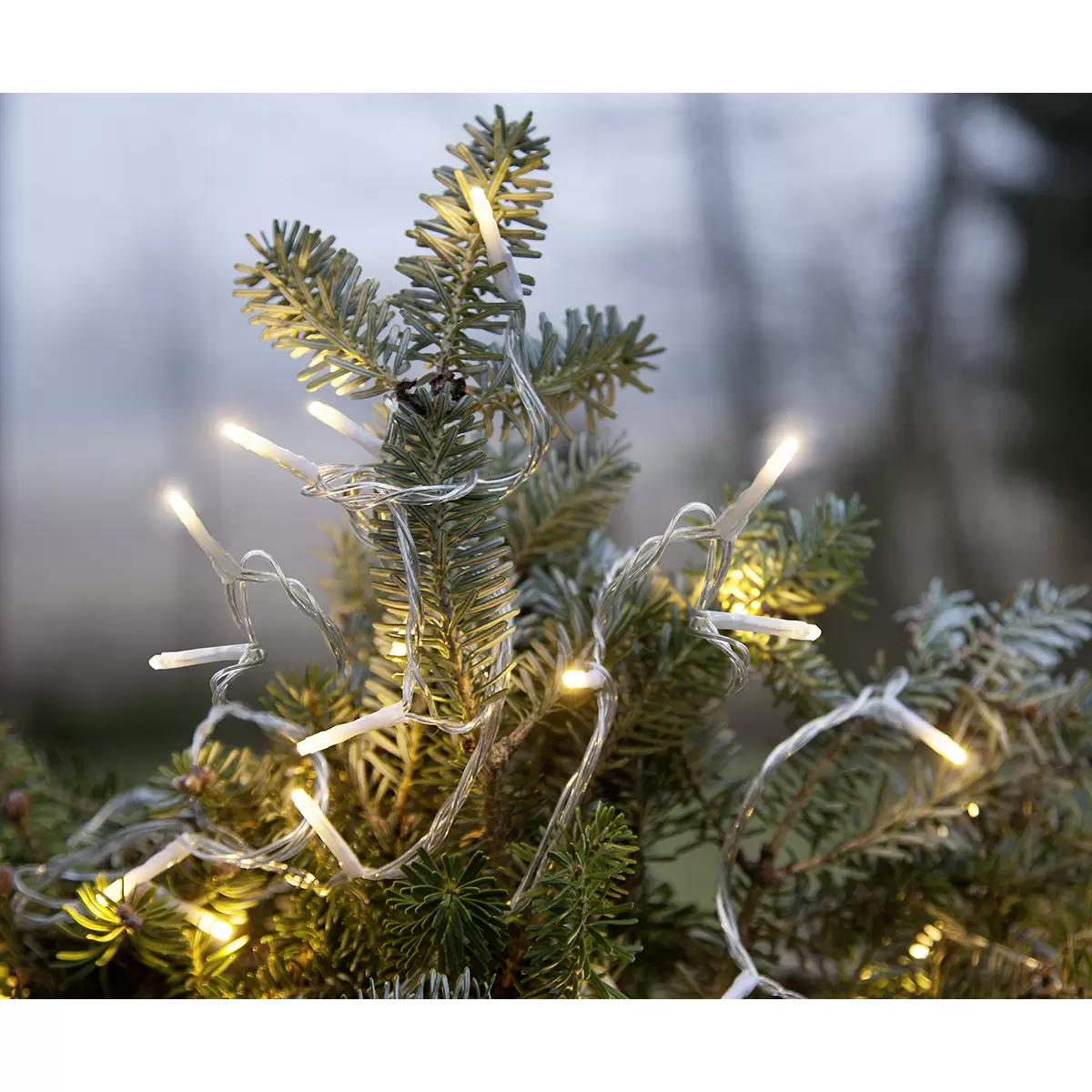 Lichterkette In- und Outdoor In- und Outdoor Transparent