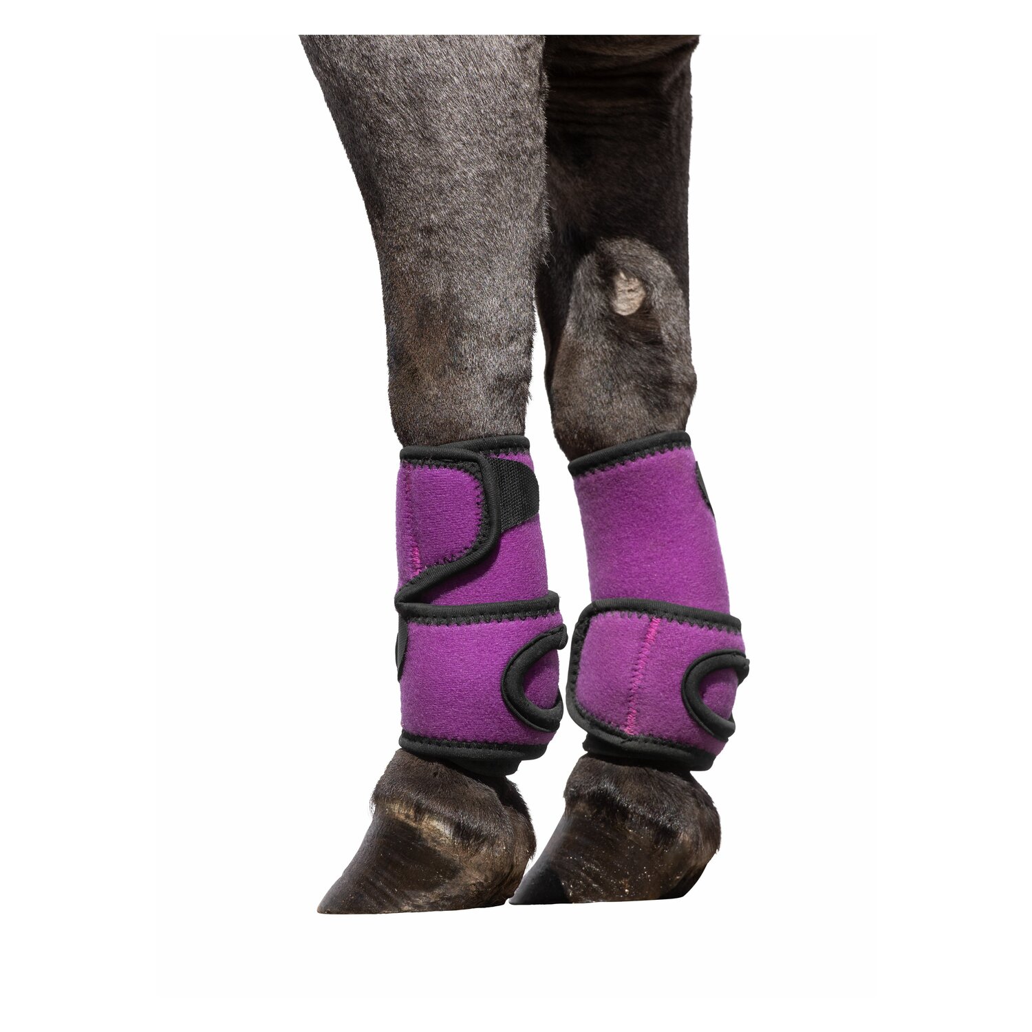 Loesdau Mini-Hippopren-Gamaschen  - purple