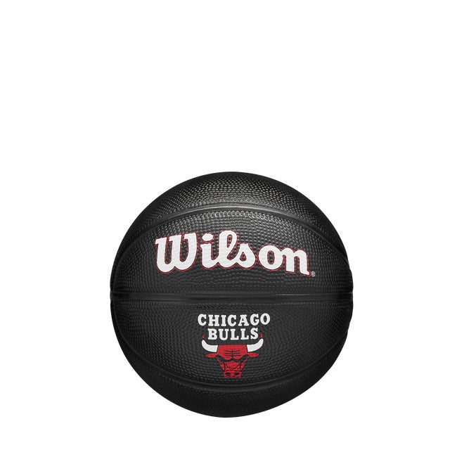 NBA Team Tribute Mini Basketball