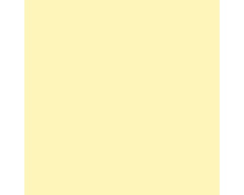 Premium muurverf Stijl Kleur SELECTIE 20 conserveermiddelvrij Savannah Light 2,5 L