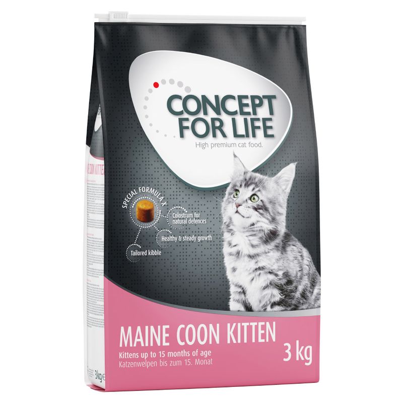 Concept for Life Maine Coon Kitten pour chaton