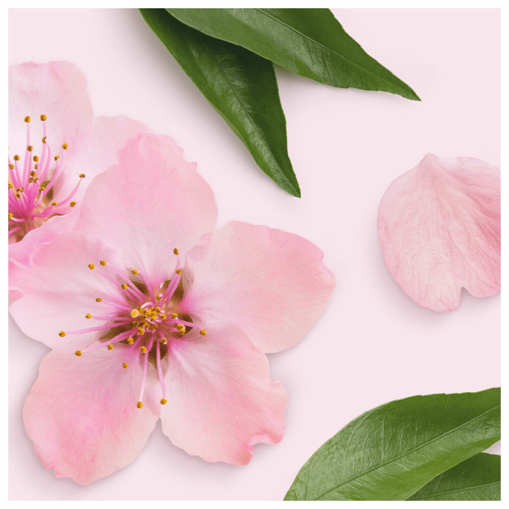 Mr. Propre Allesreiniger Sakura Bloesems1 liter