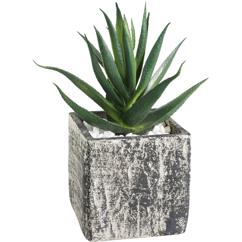 EGLO Kunstpflanze Chitose, 13 cm, grün