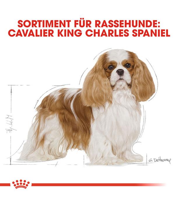 ROYAL CANIN® Trockenfutter für Hunde