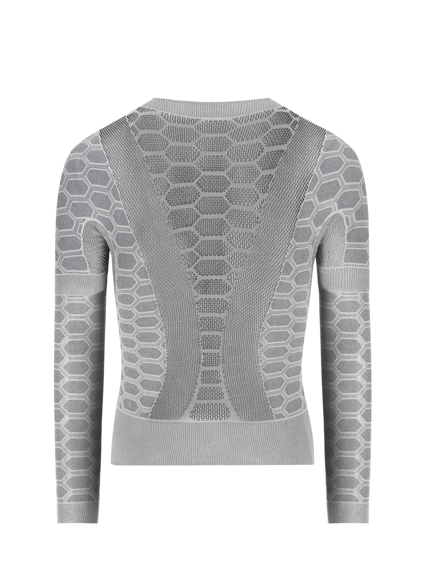 Base Layer 3 LS