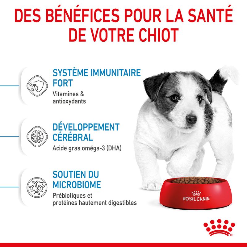 Royal Canin Mini Puppy - Croquettes chiot | Bitiba