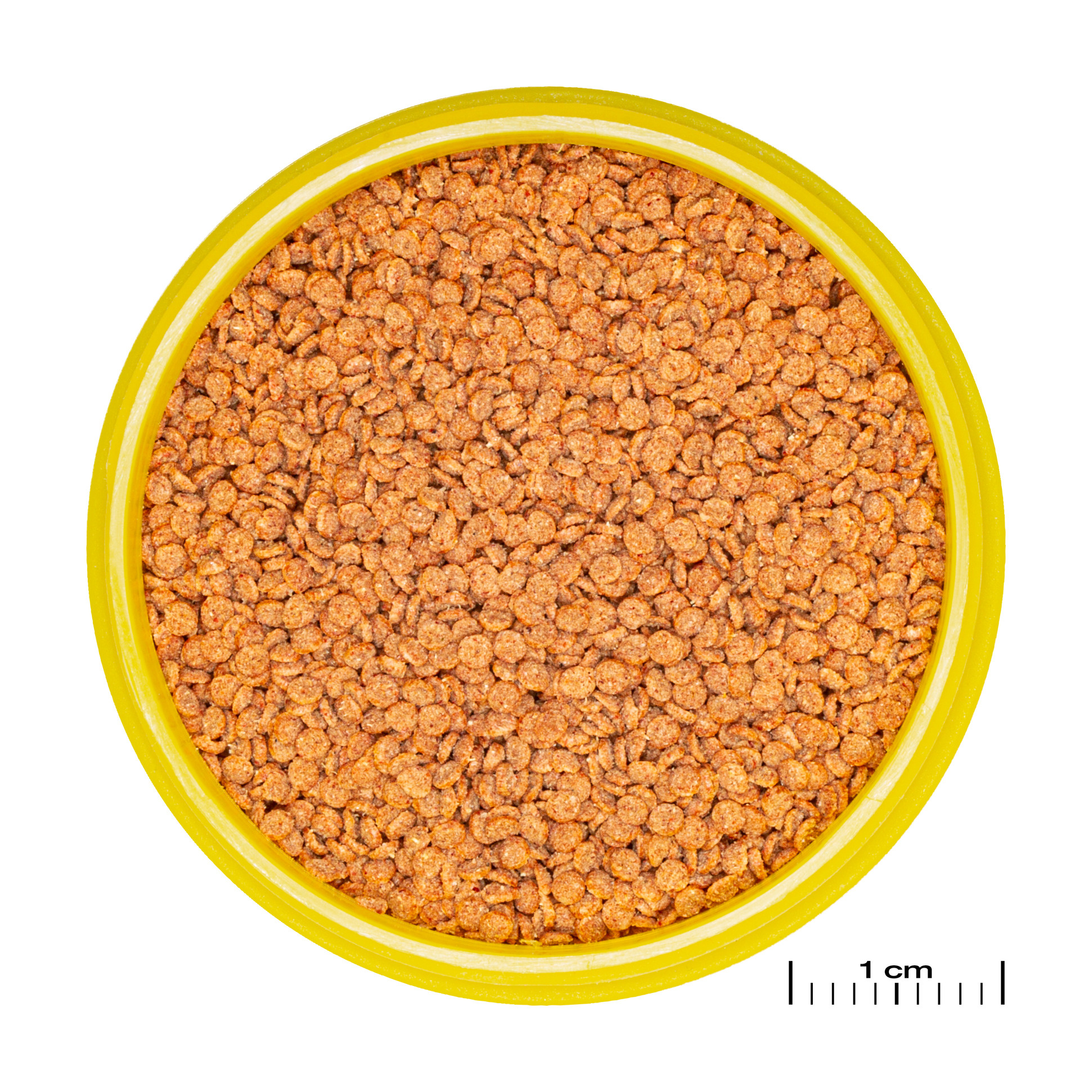 JBL Pronovo Betta Grano S 100ml Click | Zinkend granulaat