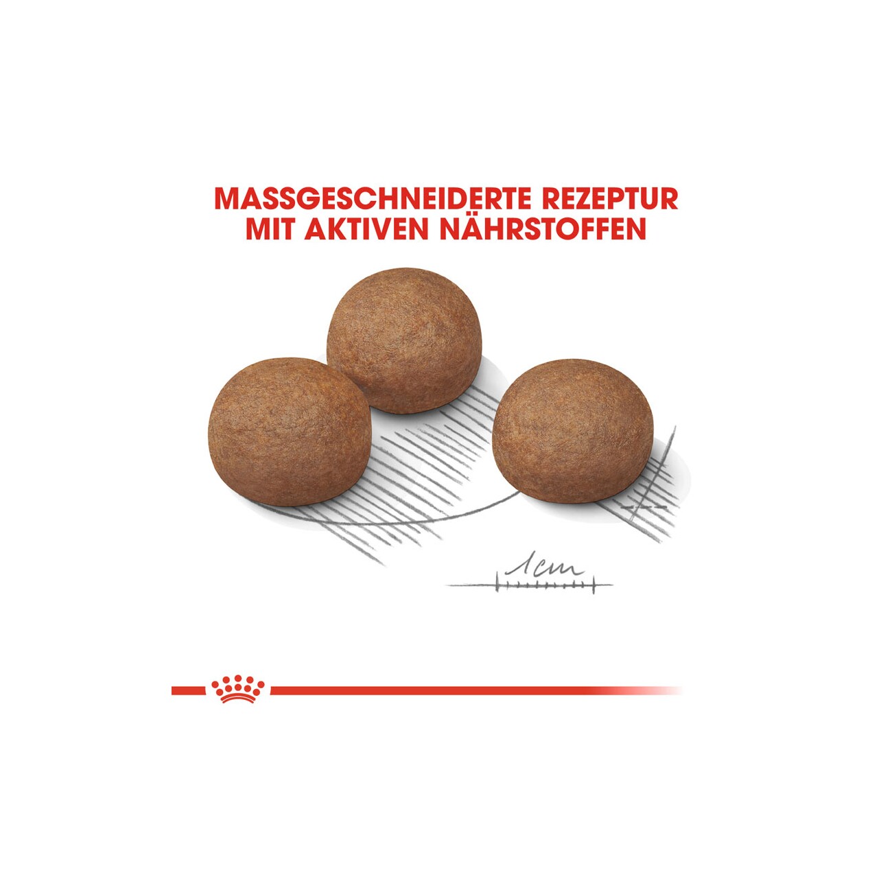 ROYAL CANIN Digestive Care Maxi 3 kg