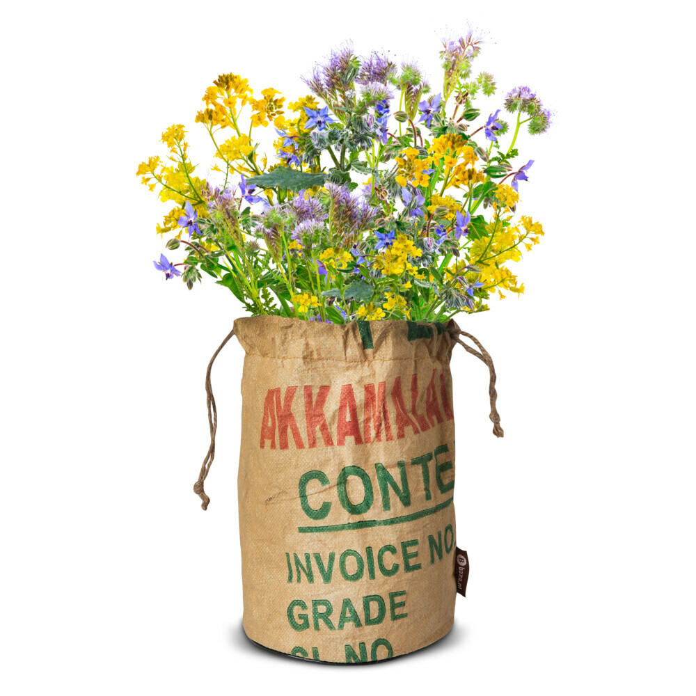 Baza Bio Wildbloemen Met Insectenhotel Geel