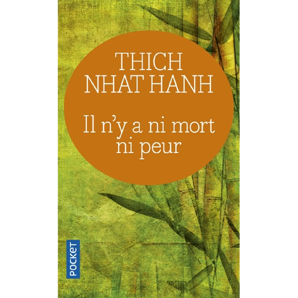 Il n'y a ni mort ni peur : une sagesse réconfortante pour la vie · Occasion
