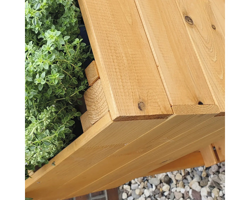 Verhoogd tuinbed op palen promadino incl. folie 100 x 50 x 80 cm honingbruin