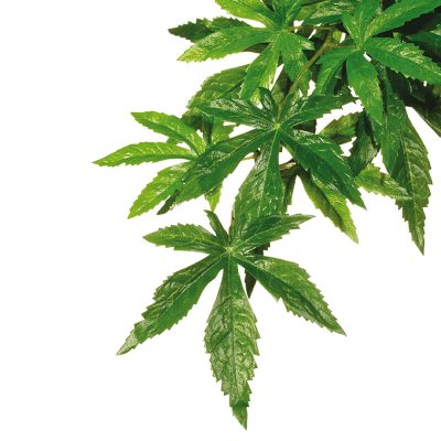Exo Terra Jungle Plant Abutilon S