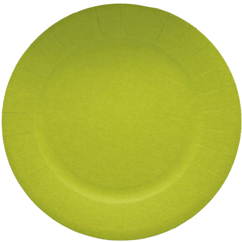 Lot de 10 assiettes carton anis D18cm