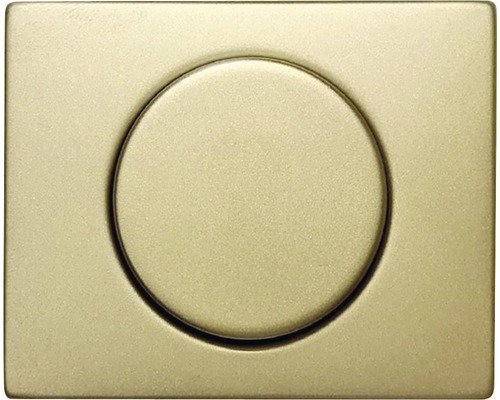 Berker 11357004 Centraalstuk voor draaidimmer, draaipotentiometer met regelknop K5, roestvrij staal, matte afwerking