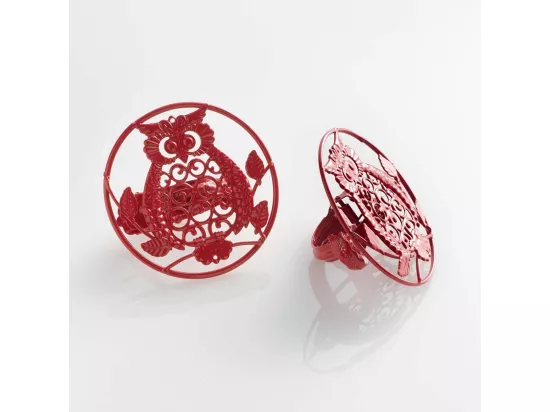 Lot de 2 Embrasses de Rideau 
