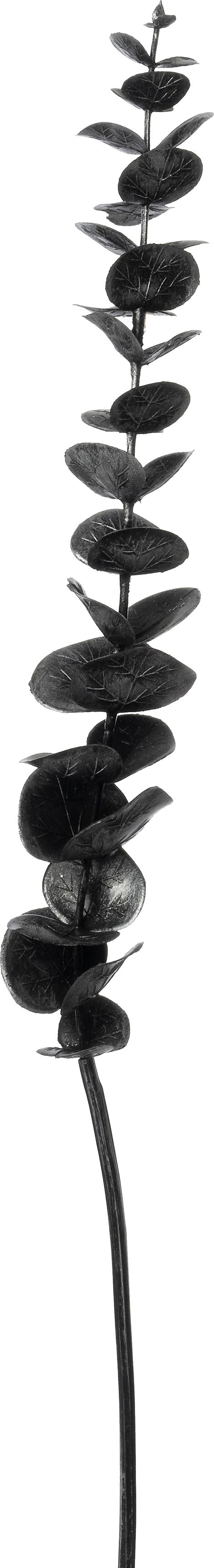 Intratuin kunsttak Eucalyptus zwart 58 cm