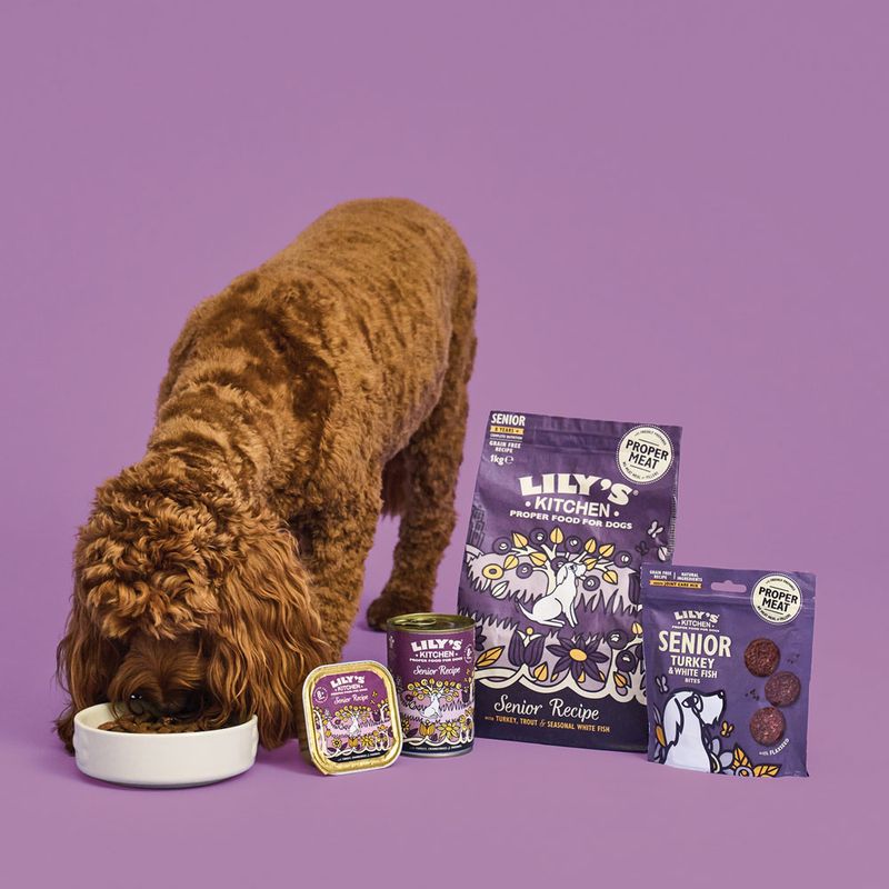 Lily's Kitchen Senior dinde pour chien ✓ pas cher