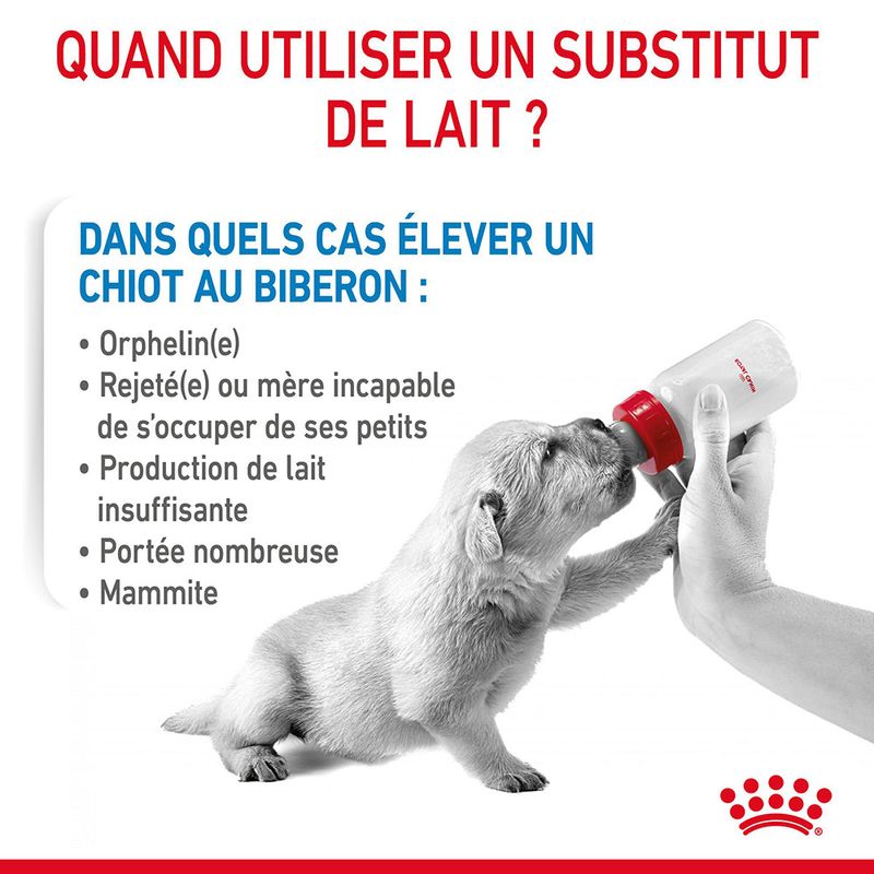 Lait Royal Canin Babydog Milk à prix discount sur bitiba.fr