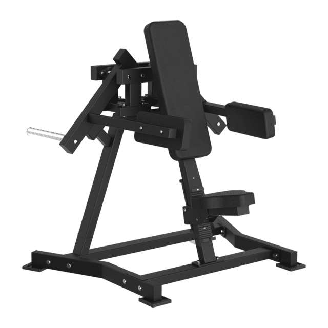 Toorx FWX-6500 Lateral Raise