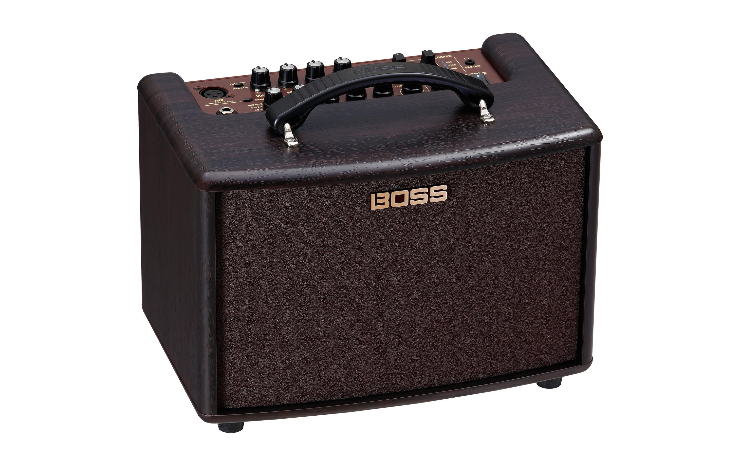 Combo AC-22LX<br>Immersives akustisches Erlebnis