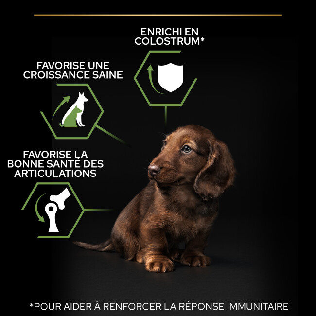 Croquettes Pro Plan Puppy Small & Mini Healthy Start