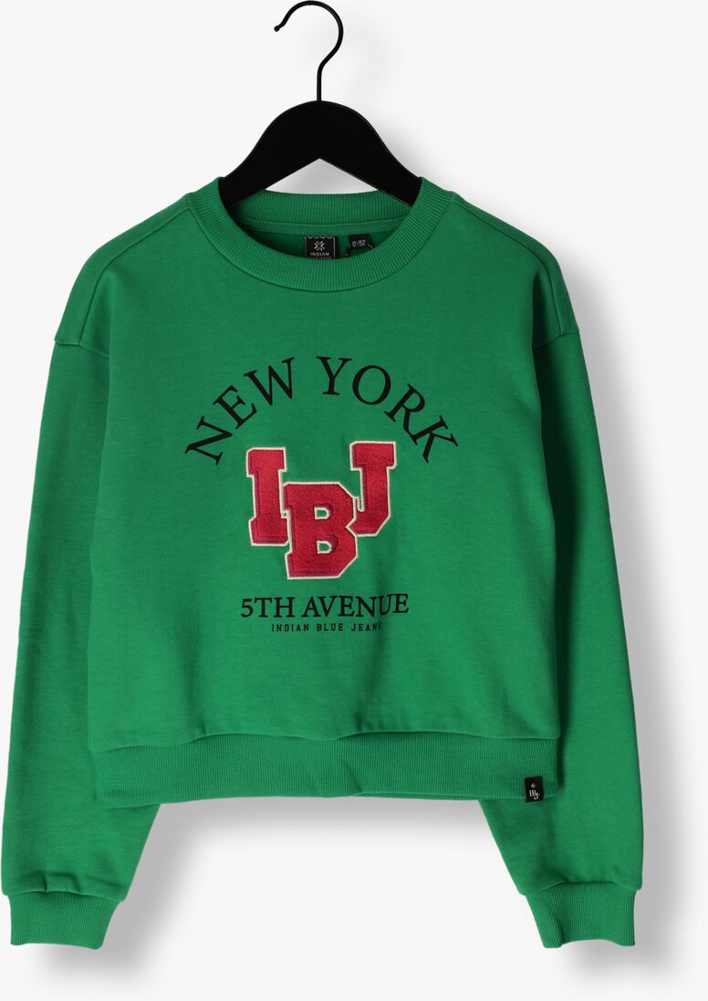 INDIAN BLUE JEANS groene indian blue jeans sweater organic sweater embroidery ibj