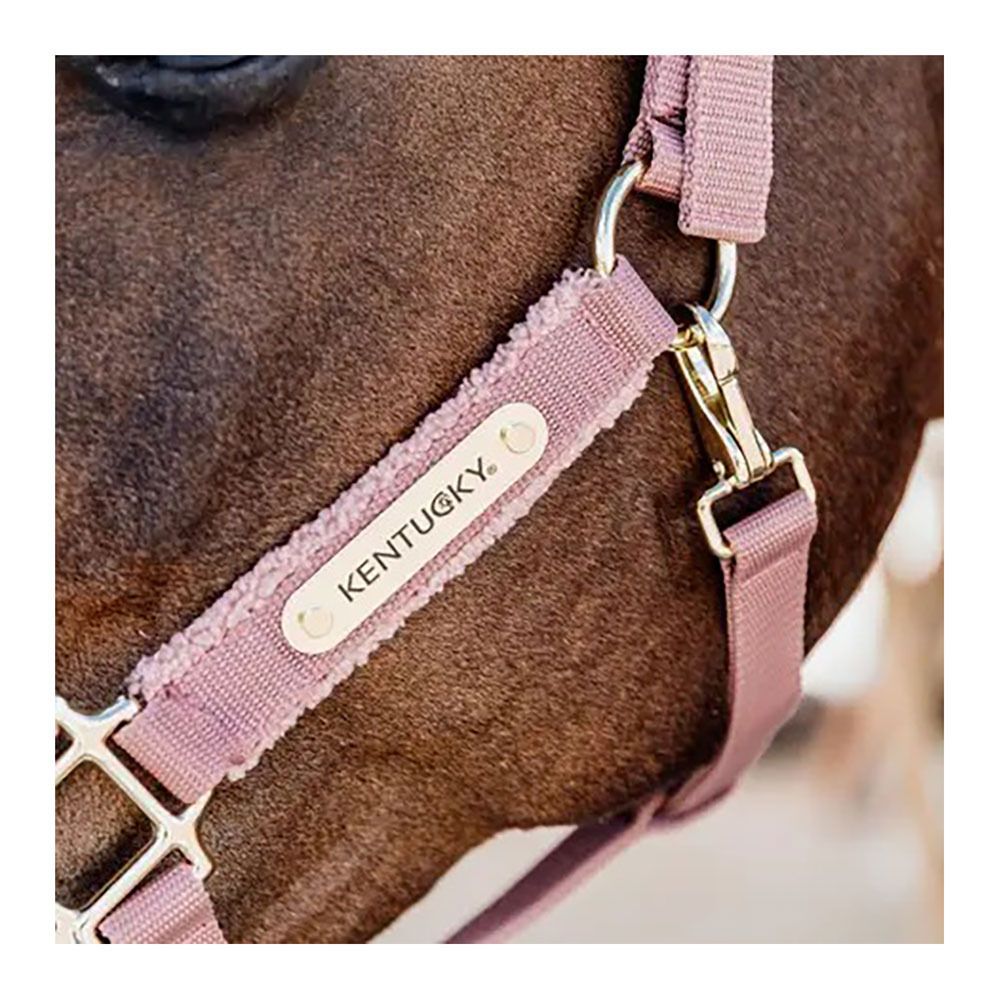 Kentucky TEDDY FLEECE - Licol rose