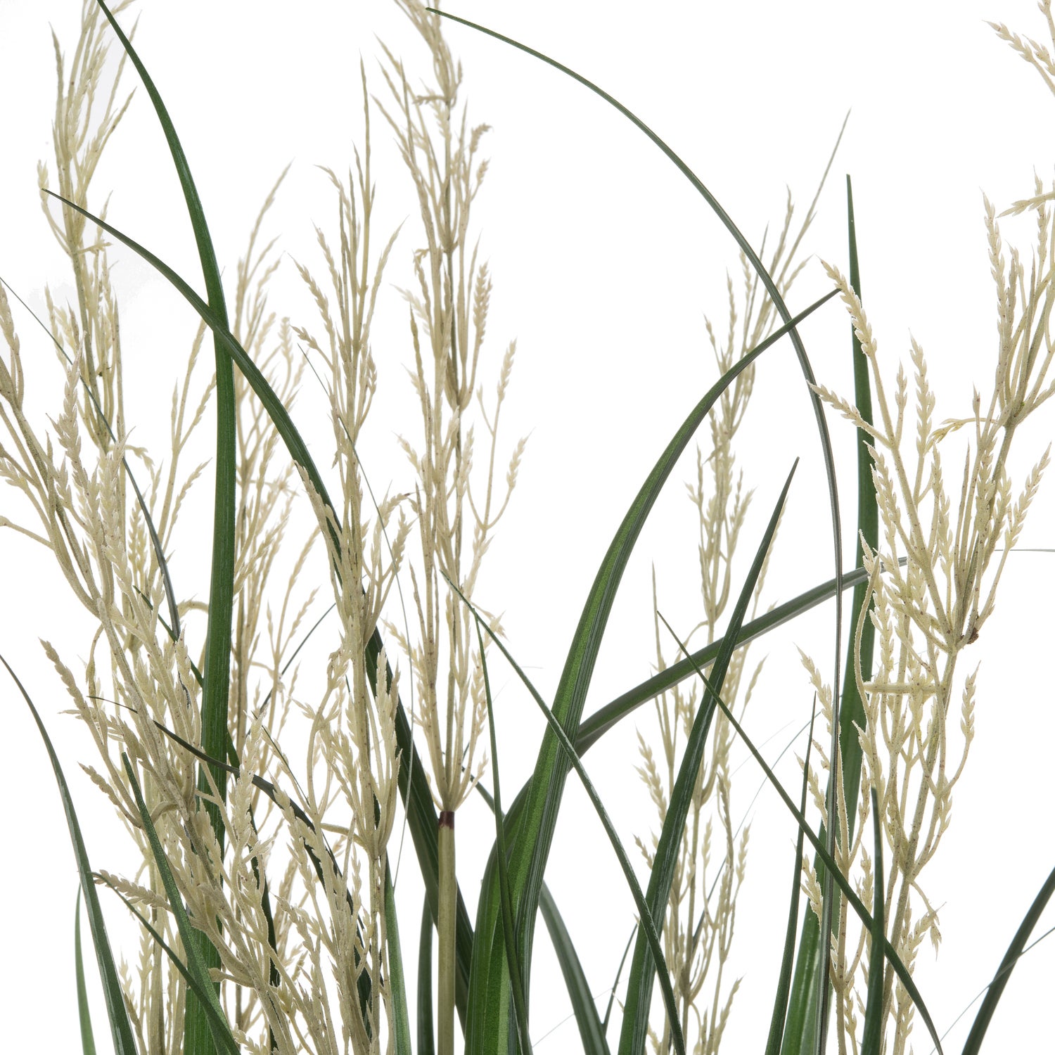 Intratuin kunstplant Miscanthus D 43 H 130 cm